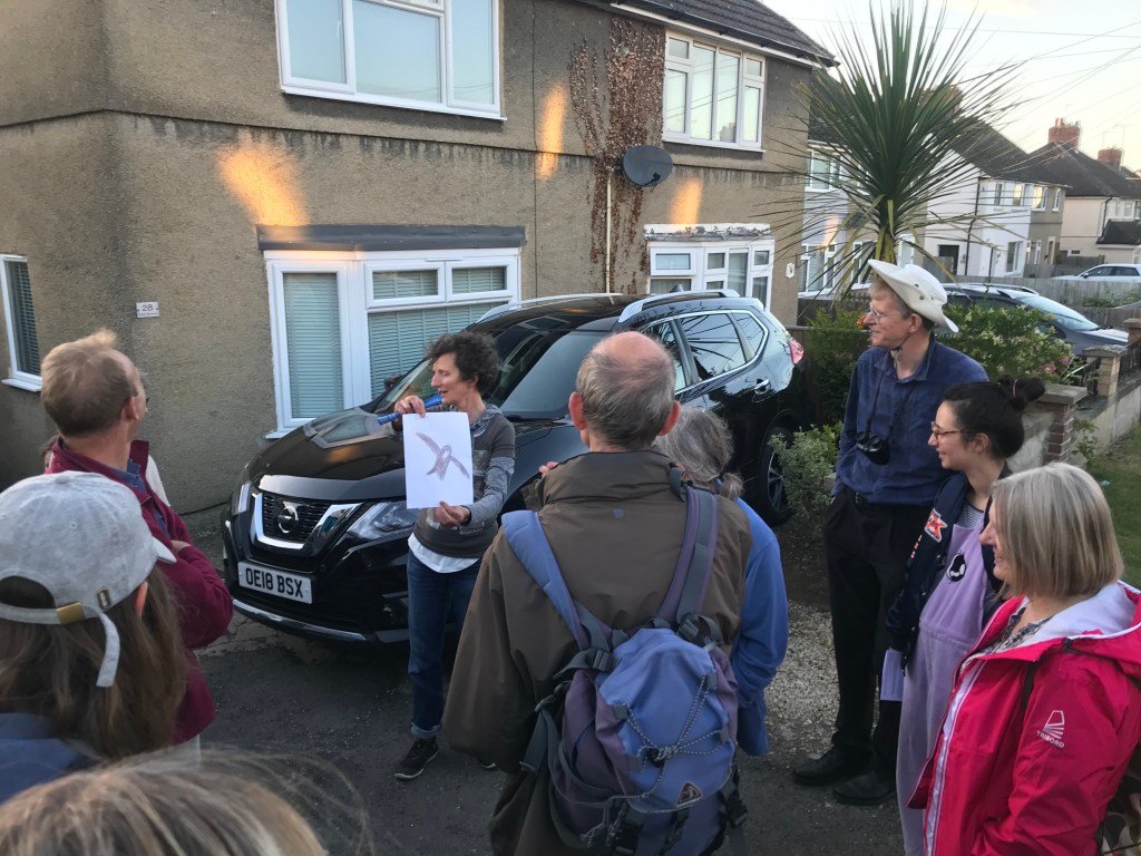 Kidlington swift walk