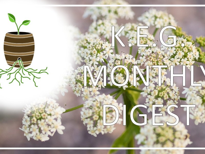 Monthly Digest – May&nbsp;2025