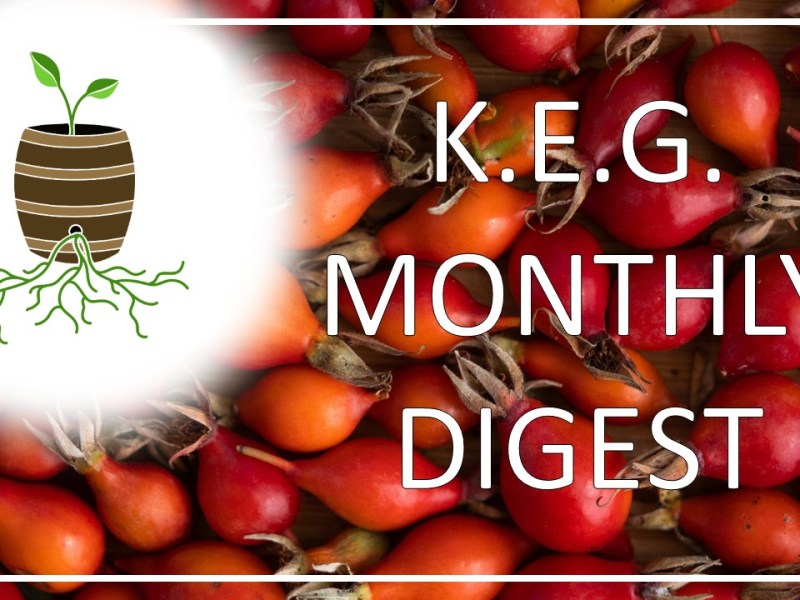 Monthly Digest – Sep&nbsp;2025