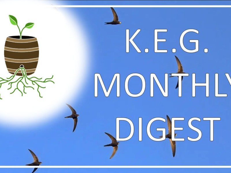 KEG Digest – June&nbsp;2026
