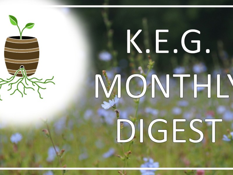 KEG Digest – July&nbsp;2026